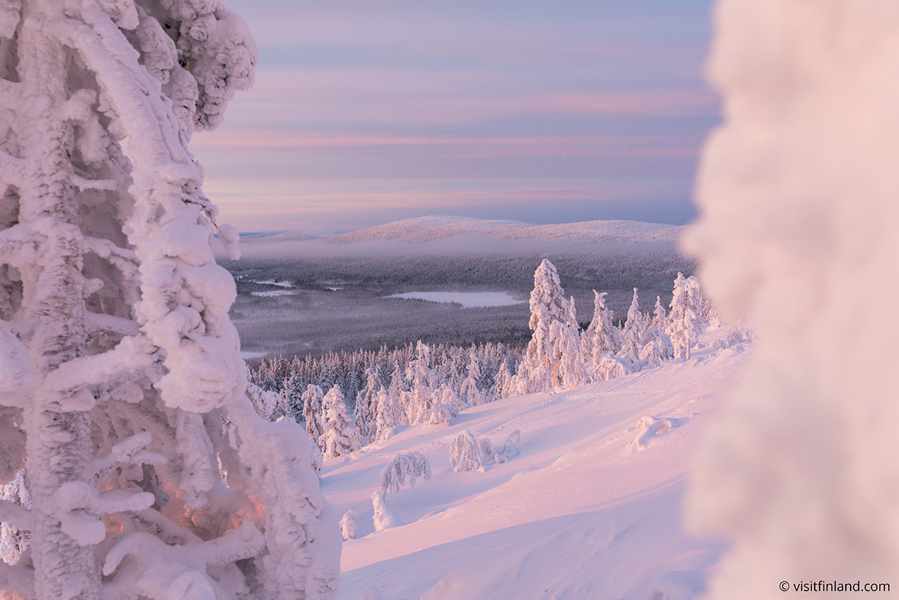 Aurora Boreal e Sabores Árticos Levi Luxury