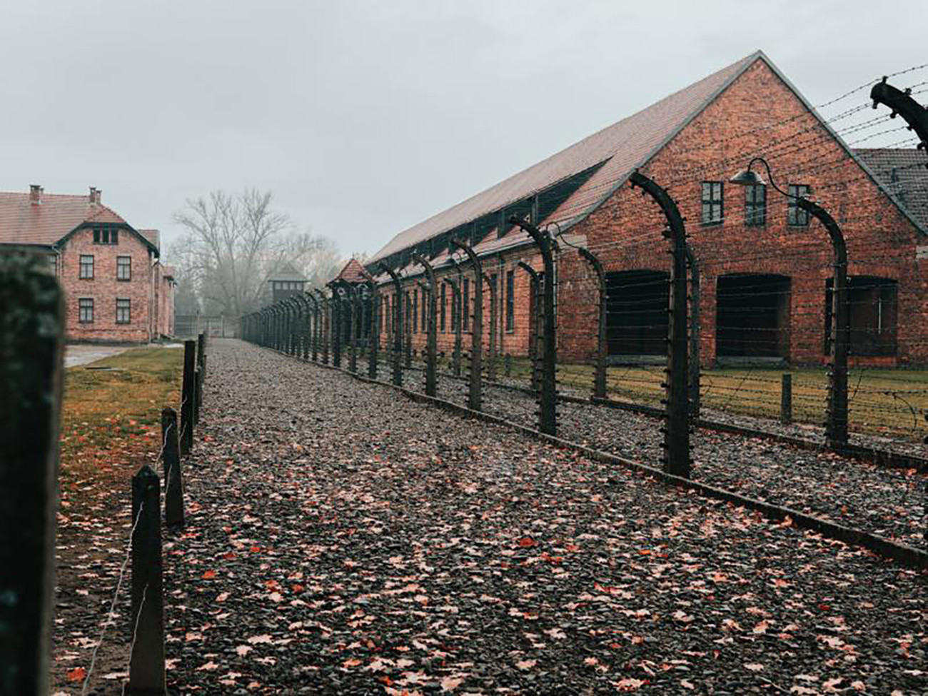 Rumo às Terras da Polônia