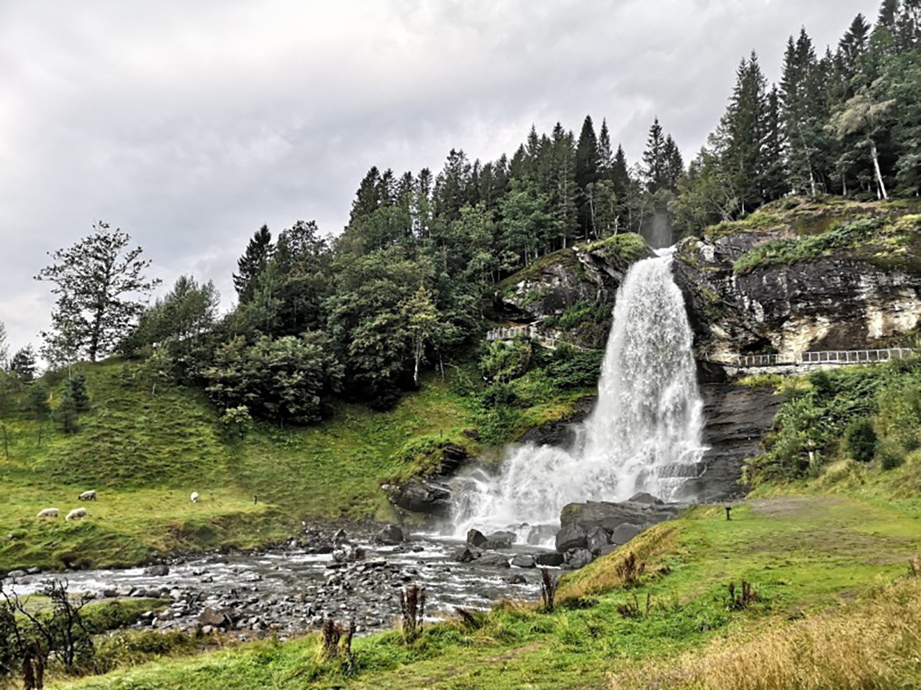 Fiordes e Cruzeiro Havilla
