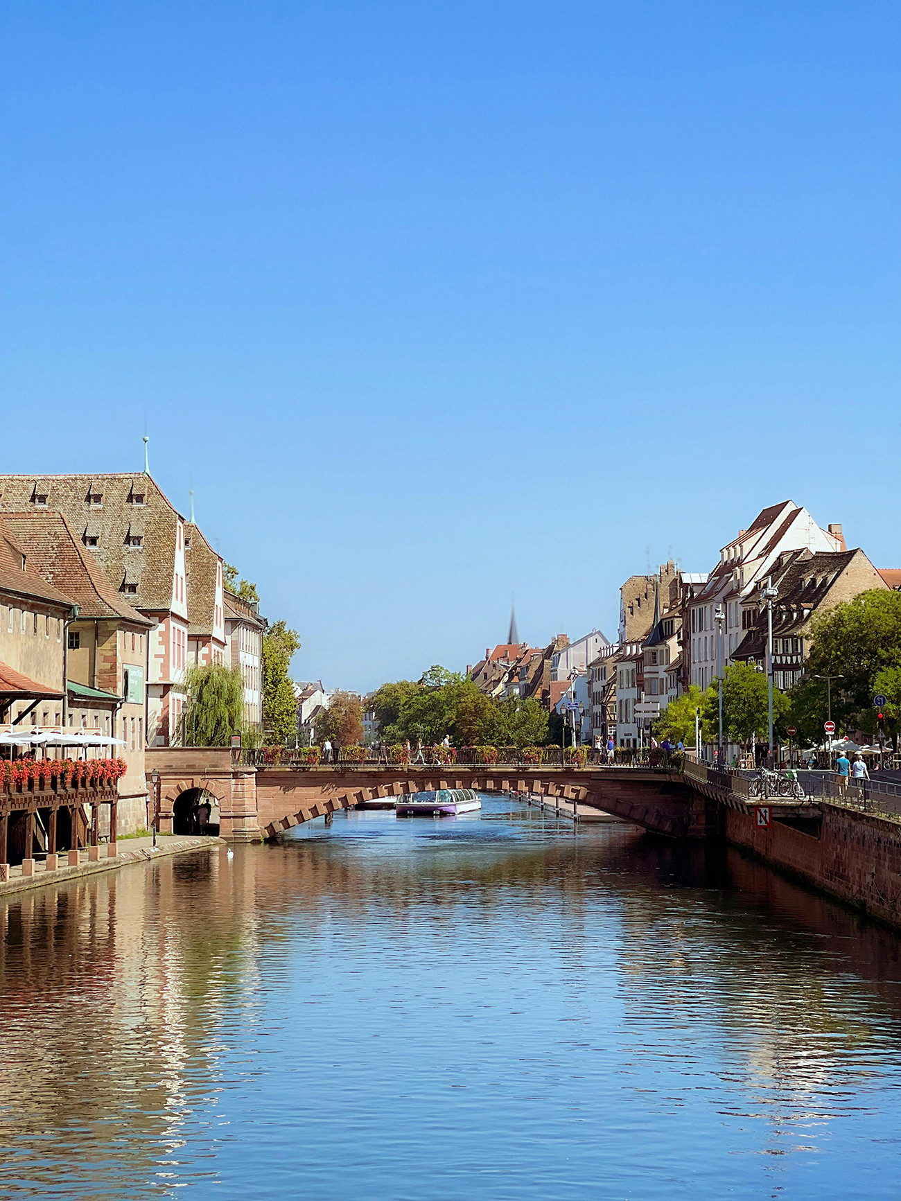 A Floresta Negra e a Alsácia
