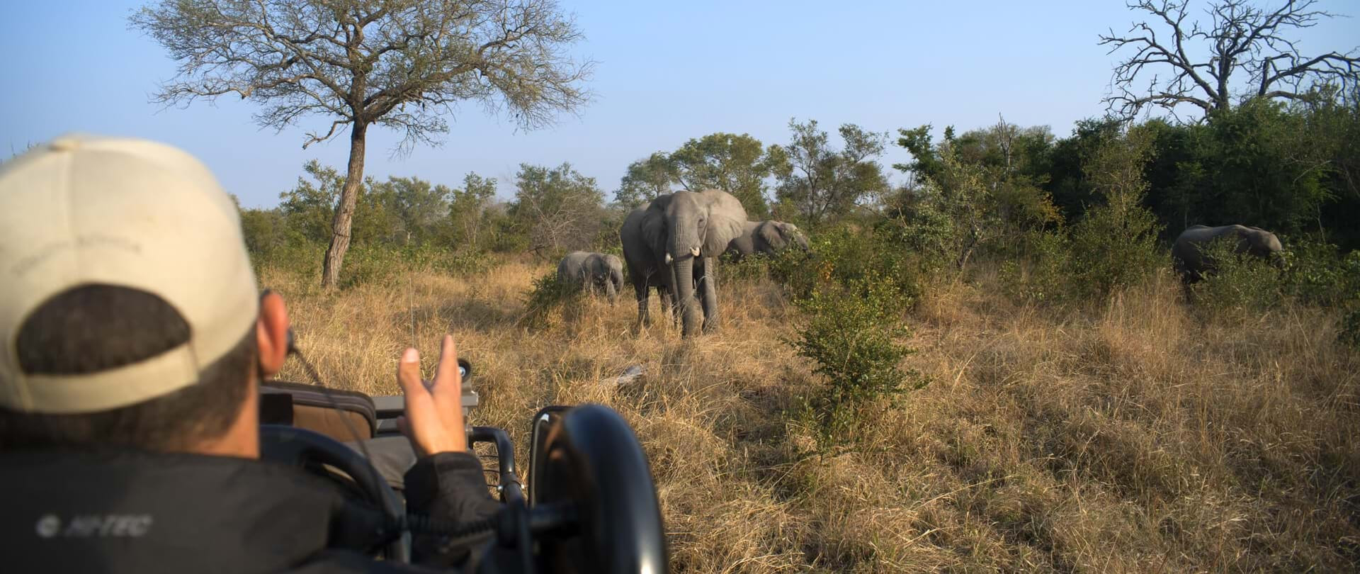 Botswana & Cape Town