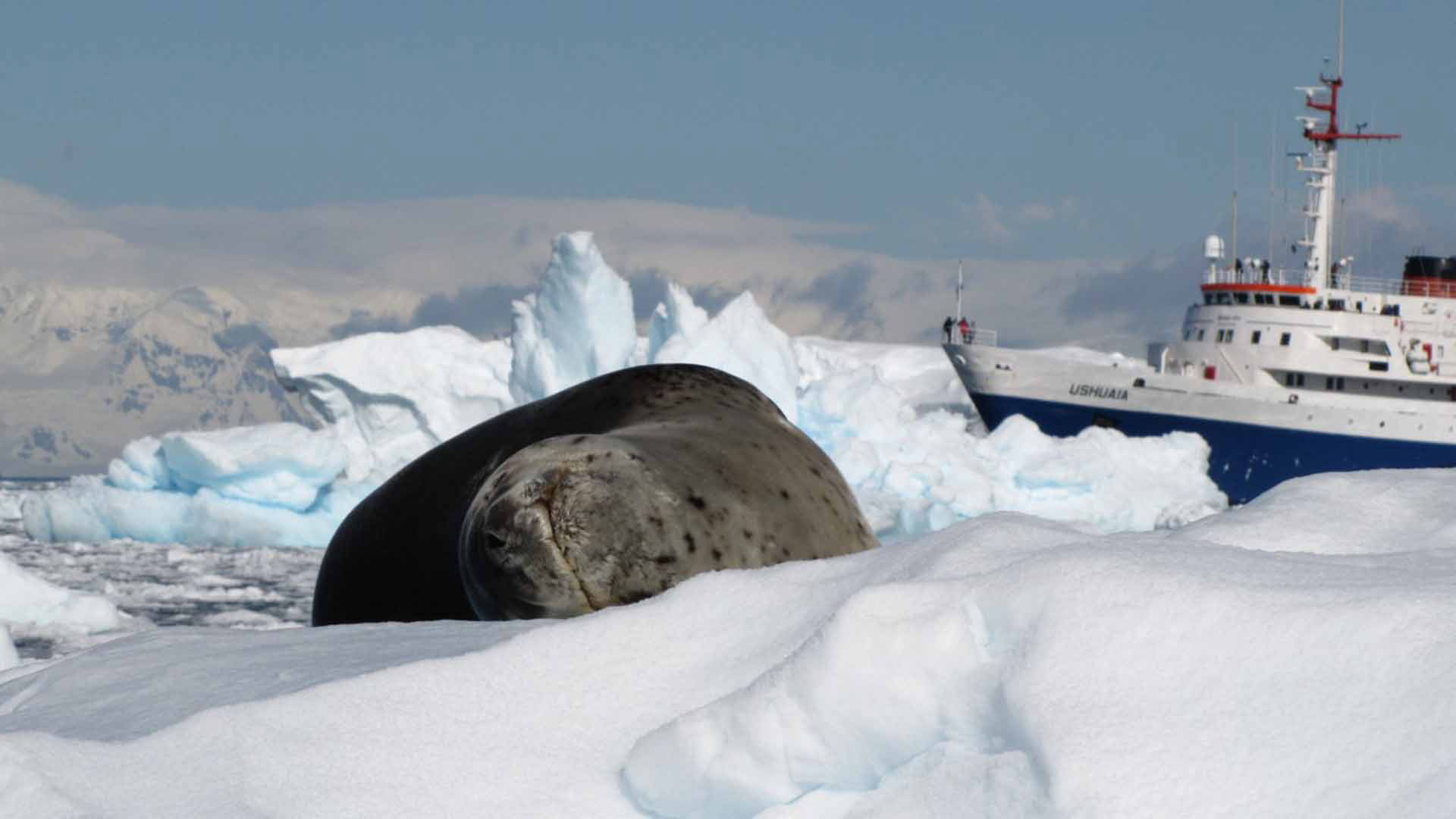 Expedições Antartica 