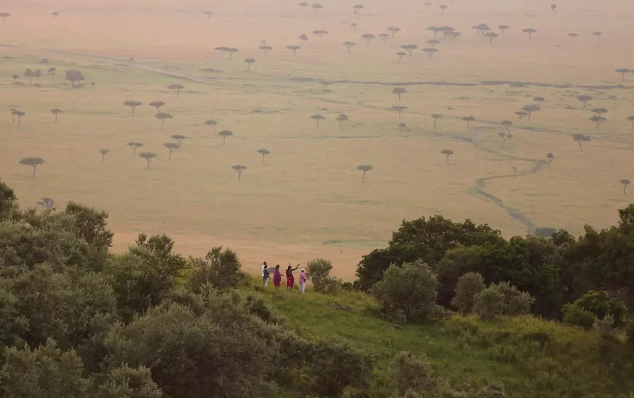 Safari Deluxe em Angama Mara