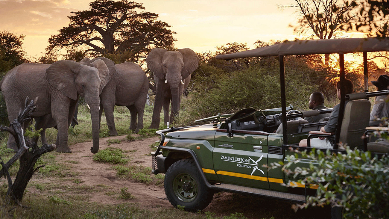 Aventura Wild Child na África Austral