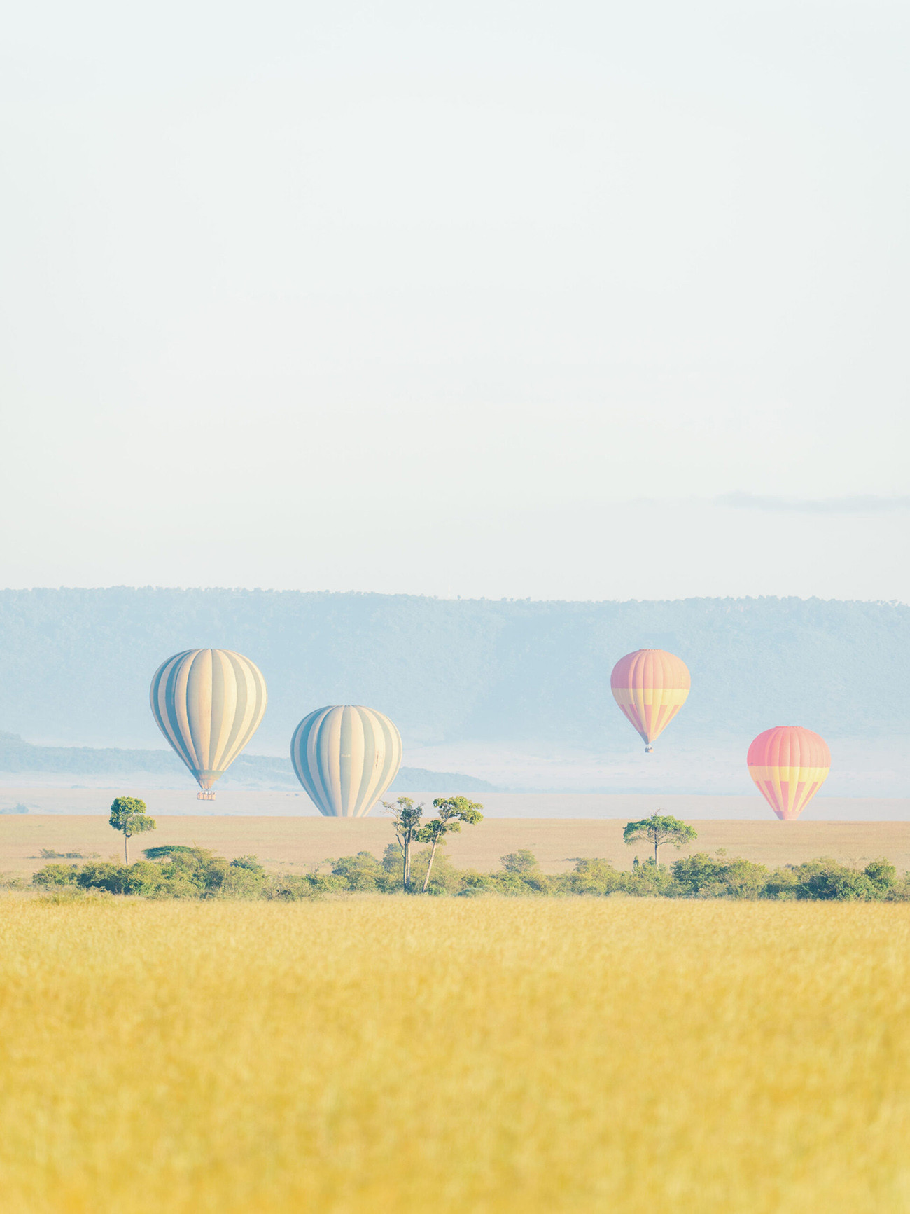 Safari Luxury no Mara Bushtops