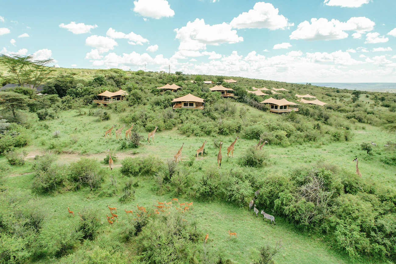 Safari Luxury no Mara Bushtops