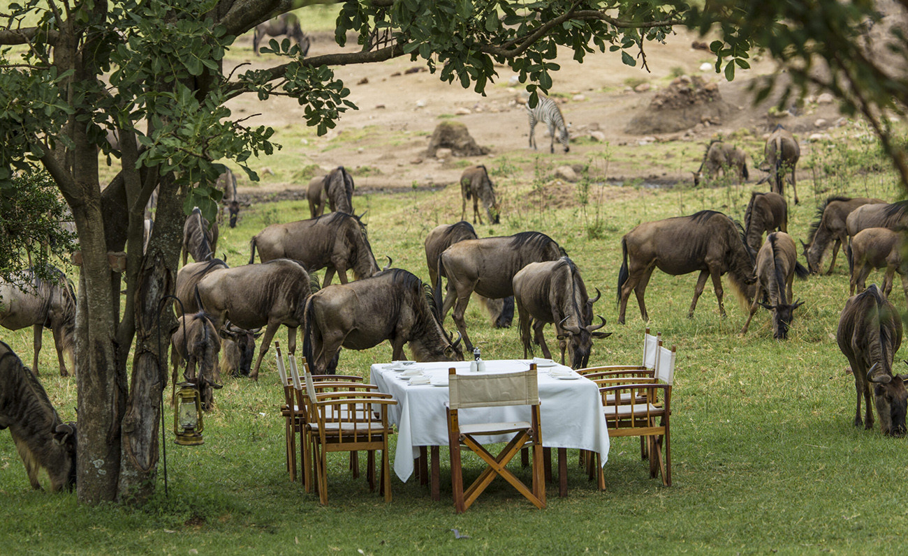 Safari Luxury no Mara Bushtops