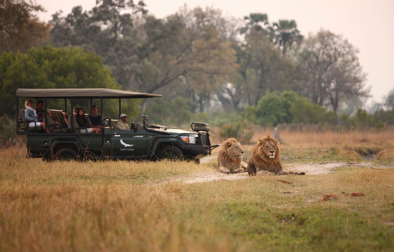 Zimbábue e Botswana Deluxe com Victoria Falls & Highlights