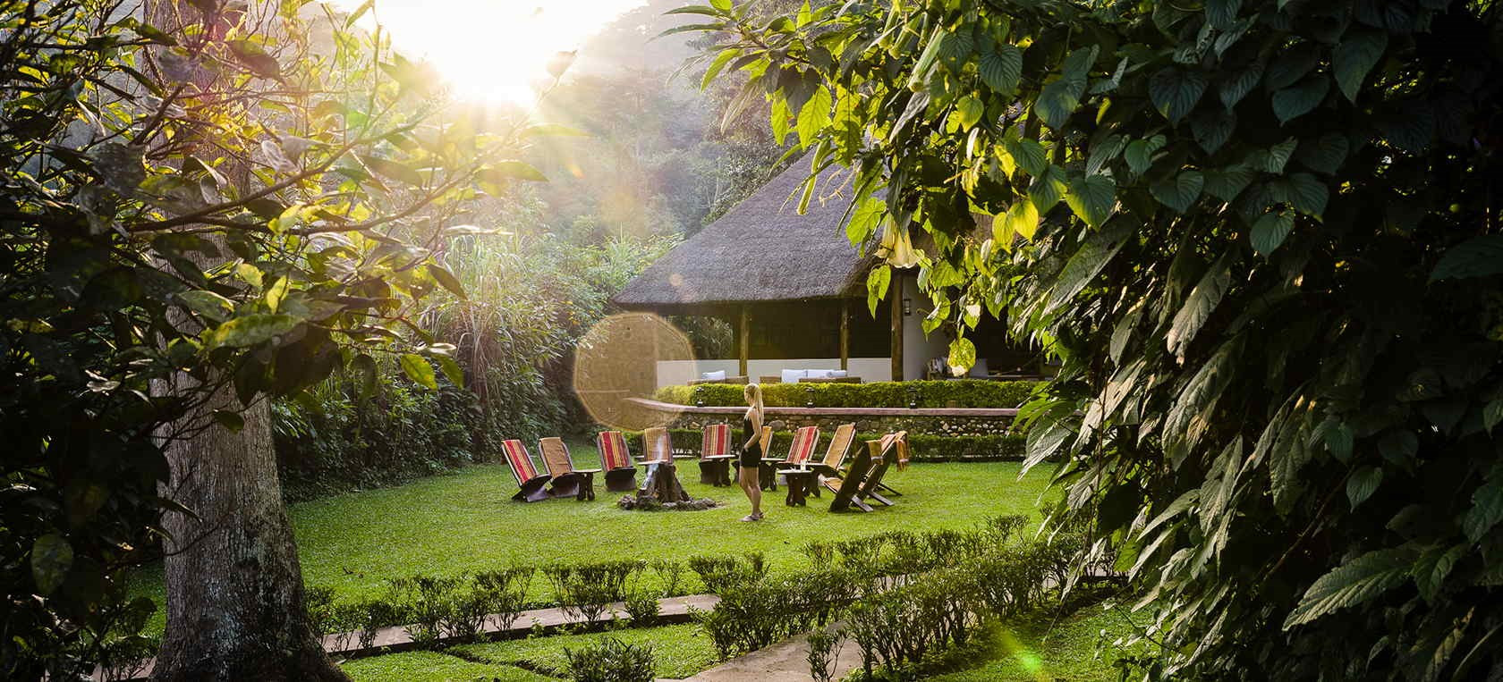 Gorilla Tracking em Uganda