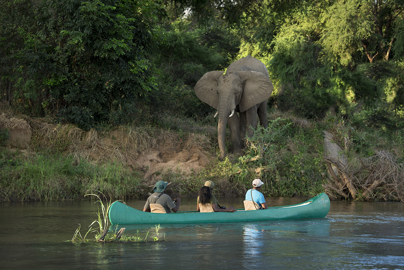 O Melhor da Zâmbia com Safáris e Victoria Falls