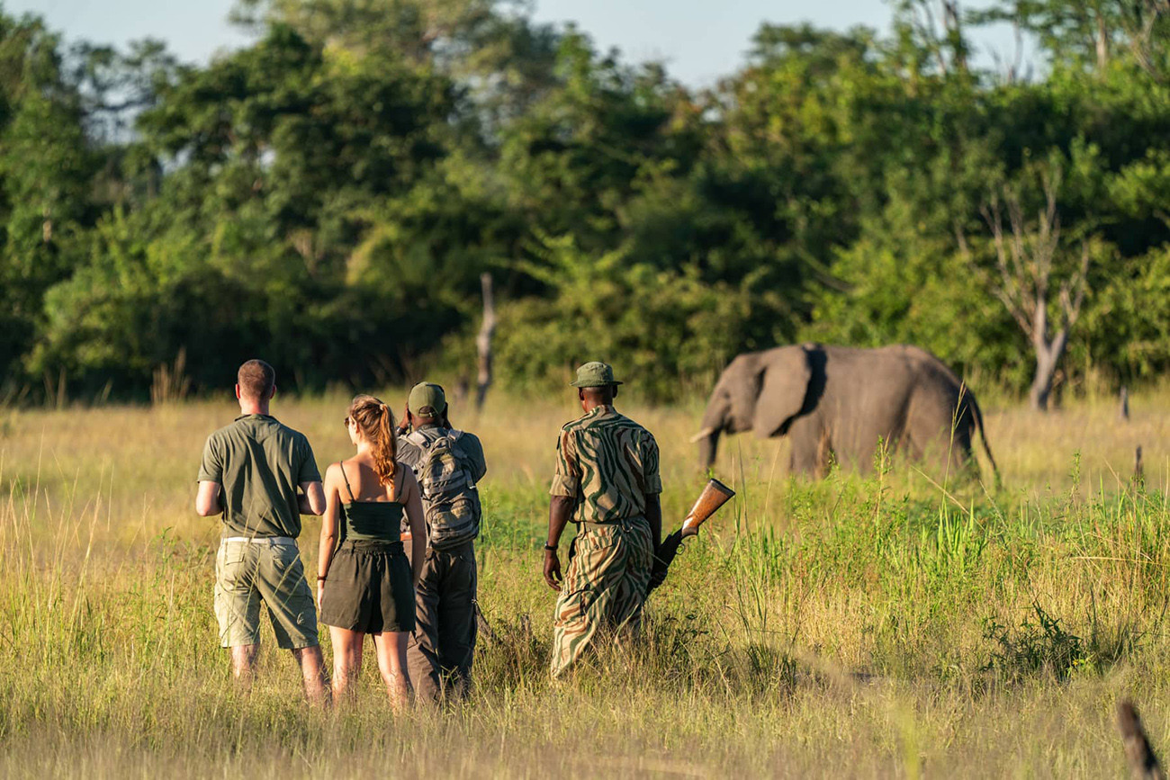 Fly Me Around Zambia com Safáris e Paisagens Deslumbrantes