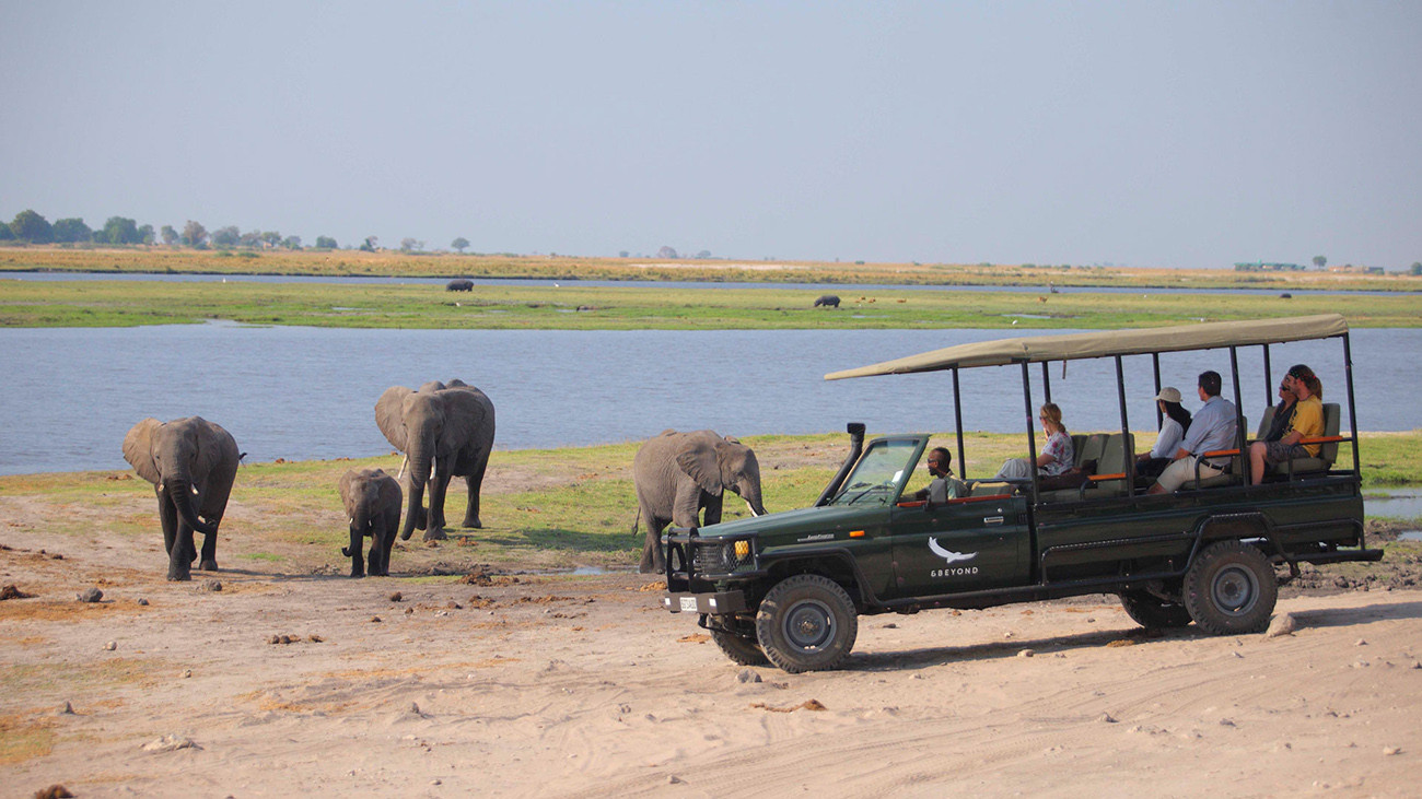 Botswana e Zâmbia os Santuários da África Austral