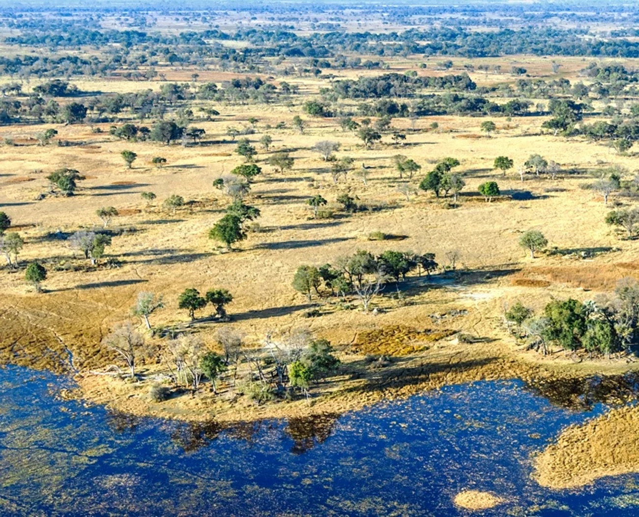 Safari de Luxo em Cataratas Vitória e Delta do Okavango