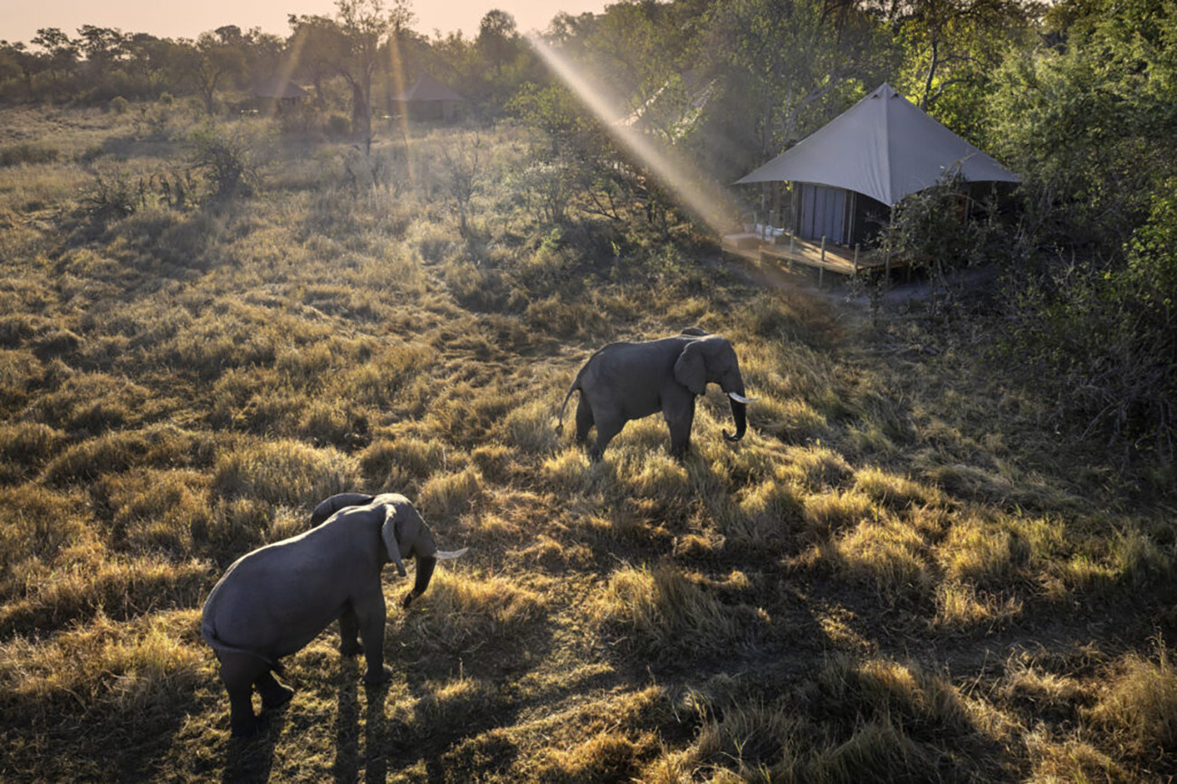 Safari de Luxo em Cataratas Vitória e Delta do Okavango