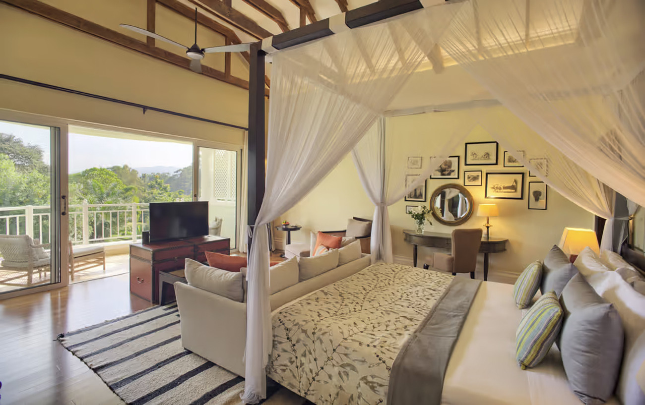 Caminhadas e Safáris no Quênia