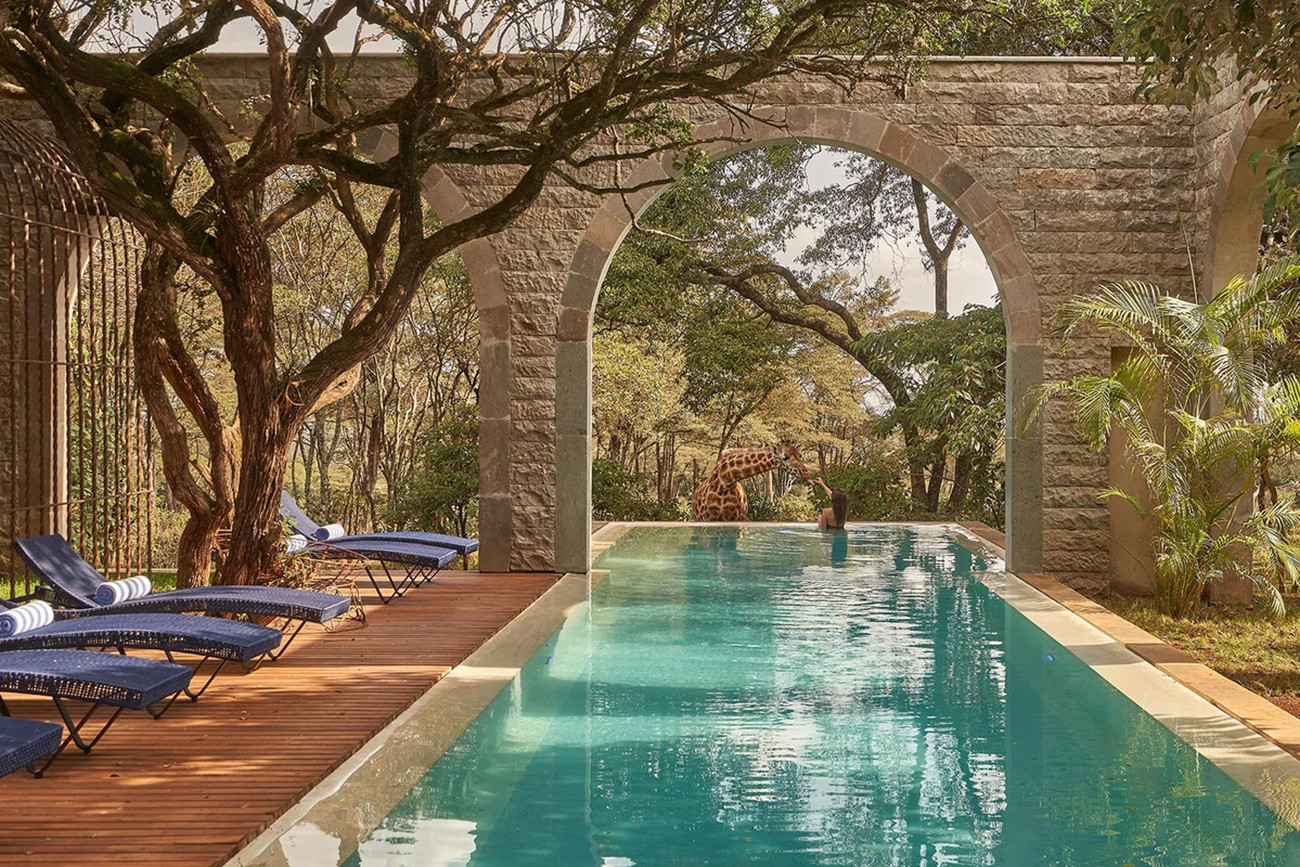 Aventura no Quênia ao Pôr do Sol em Sasaab Camp