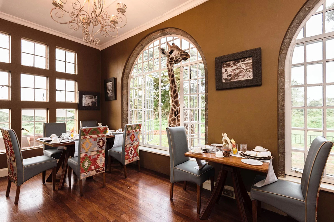 Aventura no Quênia ao Pôr do Sol em Sasaab Camp