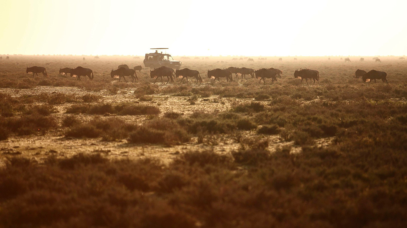 Tanzânia e Safári Romântico na África Oriental