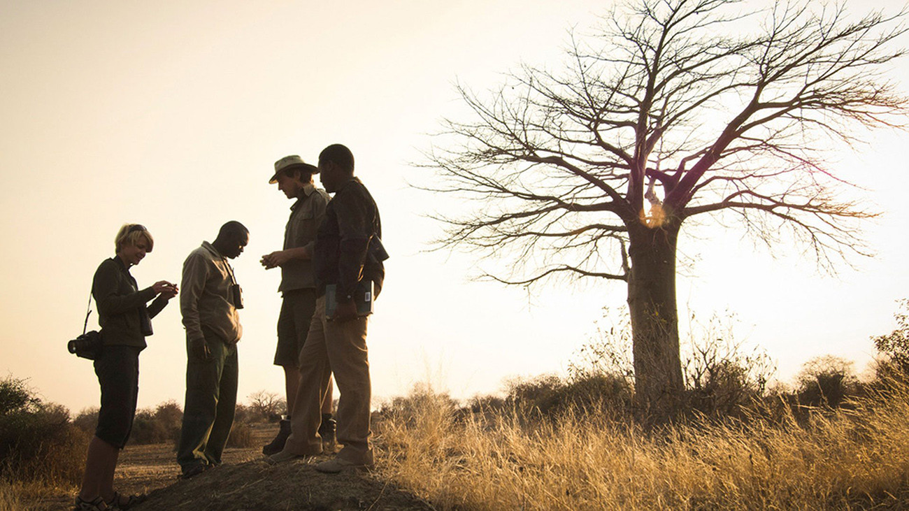 Tanzânia Deluxe com Safári e Praia 