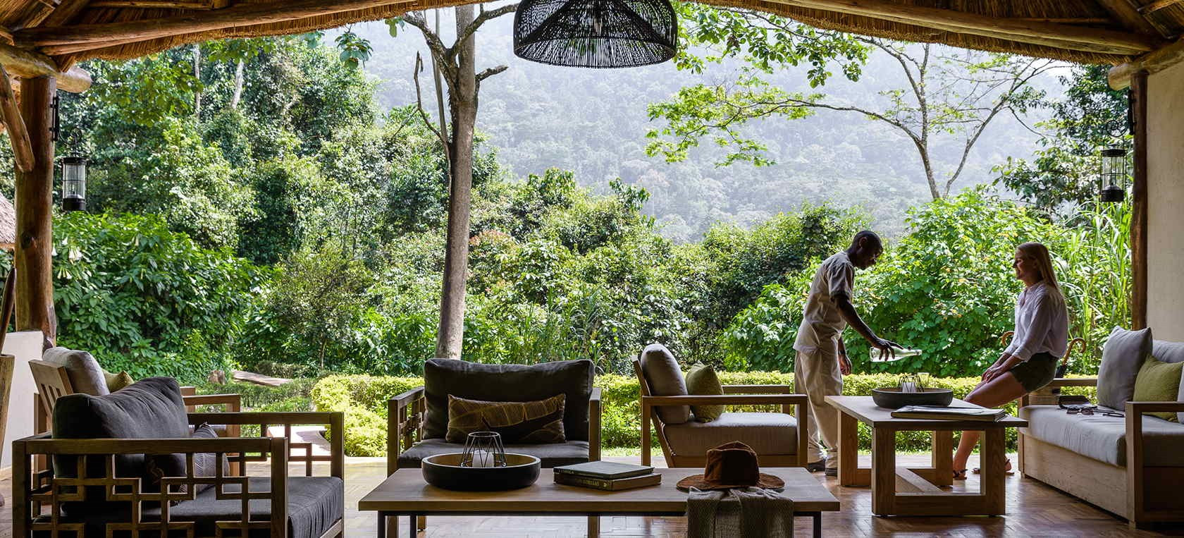 Clouds Mountain Gorilla 