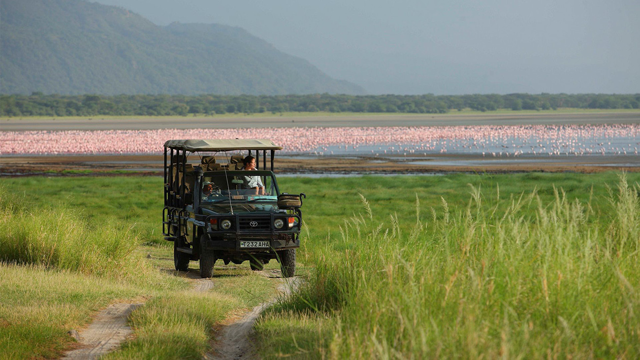 Tanzânia e Safári em 4x4 no Klein's Camp