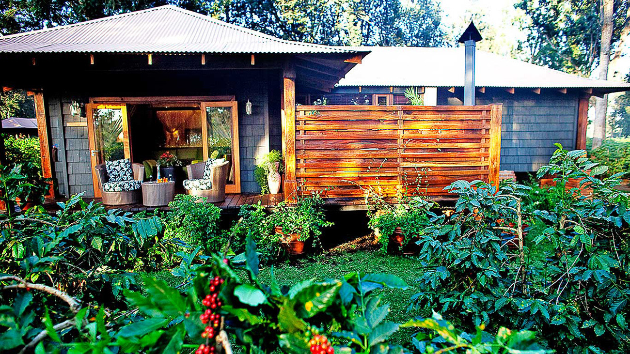 Safári Exclusivo na Tanzânia