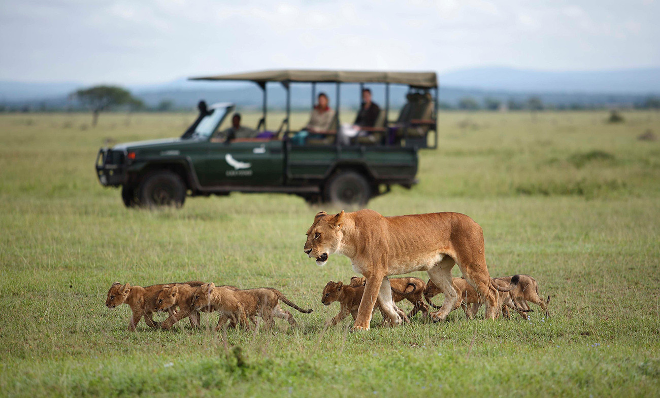 Tesouros da Tanzânia com Safári de Luxo