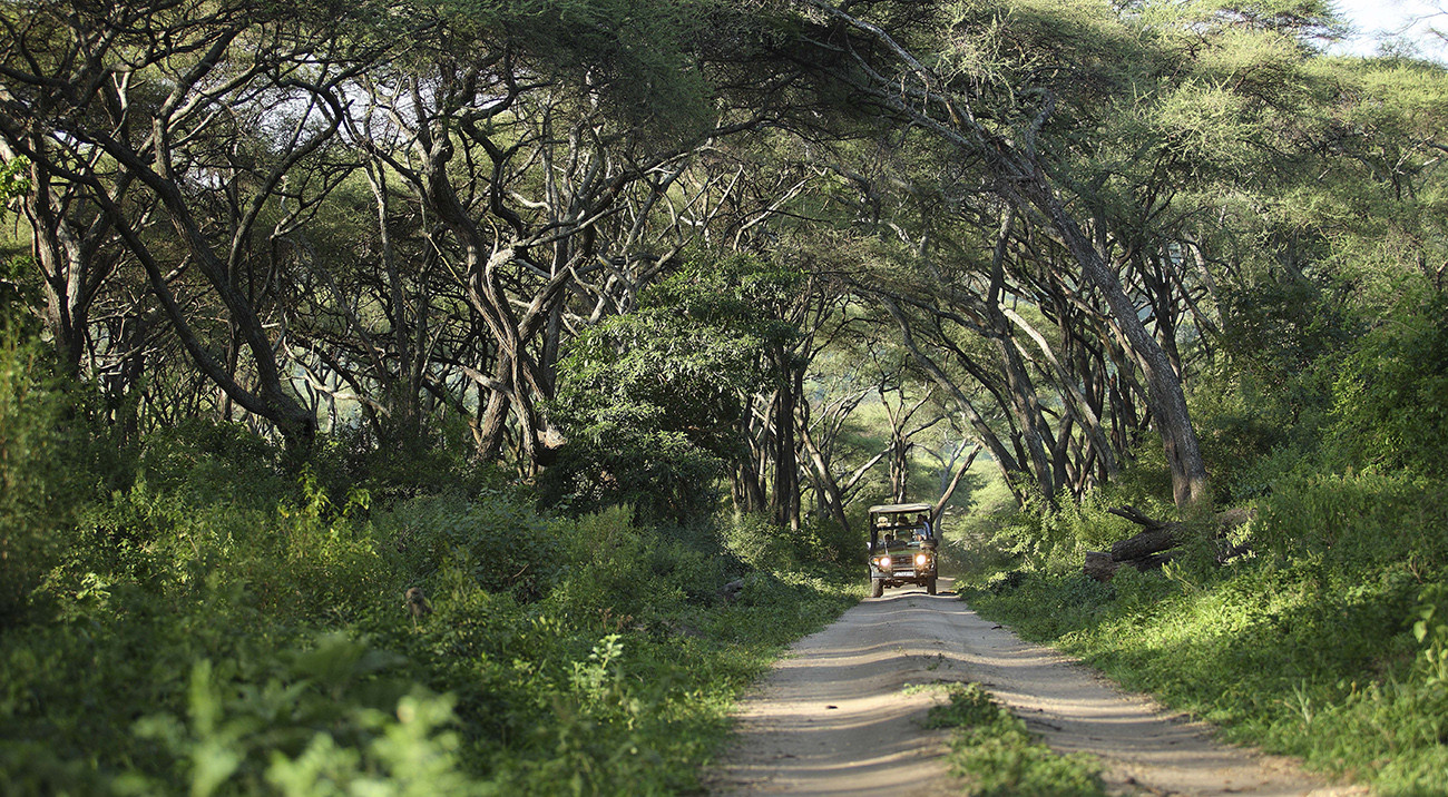 Lua de Mel dos Sonhos na Tanzânia