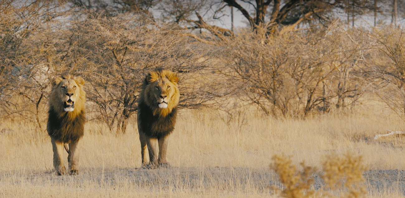 Botswana & África do Sul