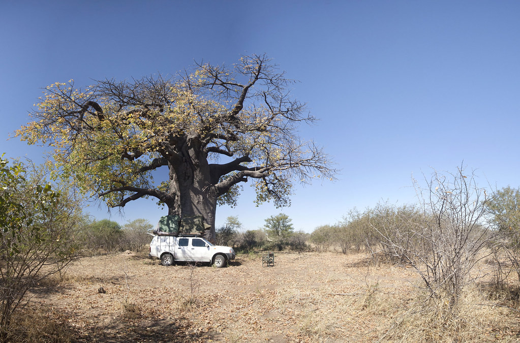 Explore Namibia by Road