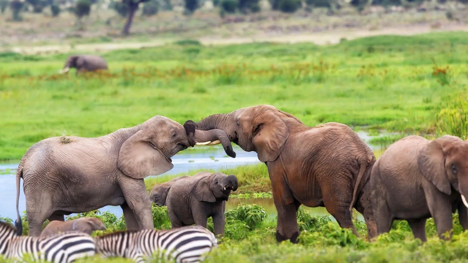 Simply Kenya & Tanzania 