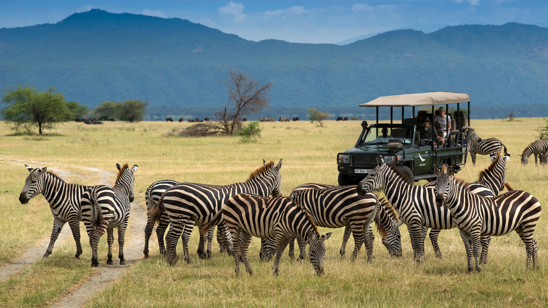 Descubra a diversidade na África Oriental